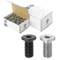 Extra Low Head Cap Screws